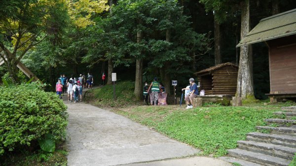 東眼山登山健行趣(小百岳22號)1544309