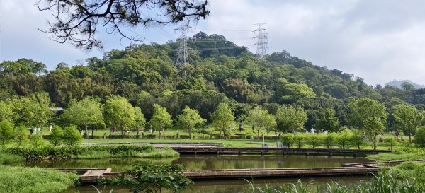 2026/04/12 草嶺山+打鐵寮古道 O型3035625