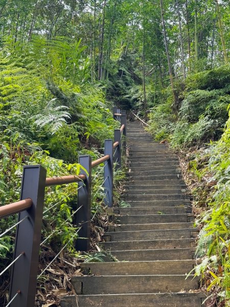 埔里能高瀑布-慶安步道-觀景台2801471