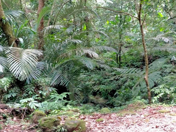 白石湖+打鐵寮古道2824172