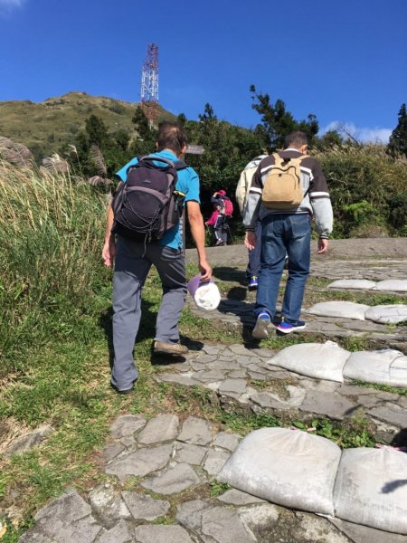 七星山主峰小白岳這個時節欣賞芒花季445489