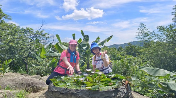 (姨婆趴趴走)第十三集:桃園龜山福源山步道、大棟山縱走2191711