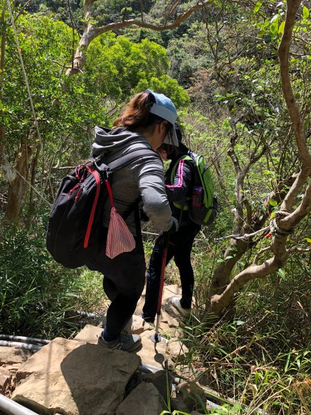 2020.03.08里龍山878277