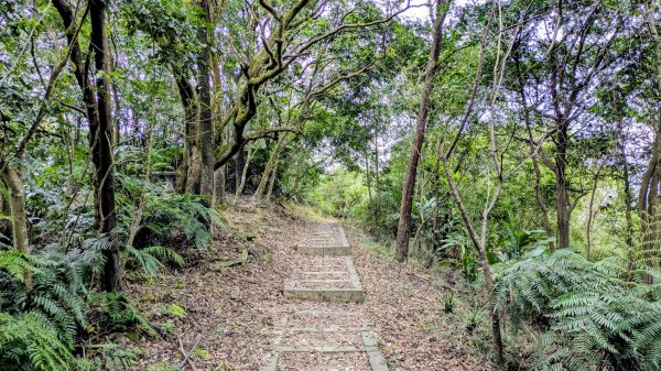 七二法則的倍數樂章2984134