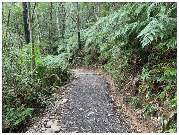 澀水森林步道、水上瀑布2846777