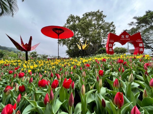 【賞花】鬱金香展浪漫開幕! 限定童話展區曝光 遊園變身王子公主 賞花撒下幸福種子！