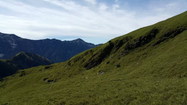 合歡東峰步道 2017 06 06133187