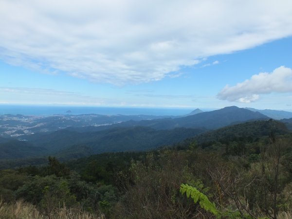 姜子寮山步道2734813