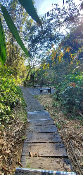 2025-01-30迷糊步道2704453