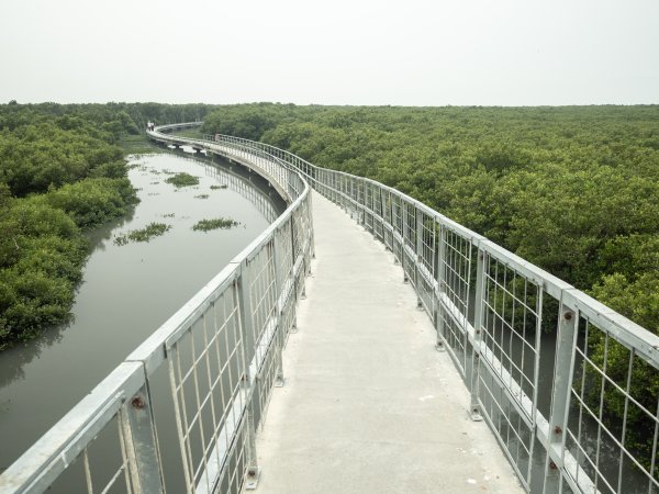 芳苑海空步道2961214