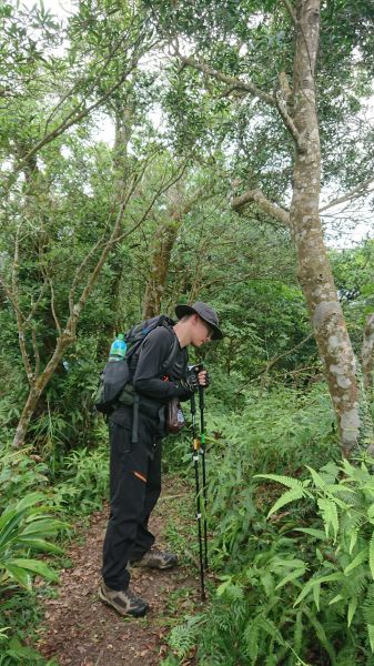 筆架連瘋（炙子頭山,筆架山,二格山）395179