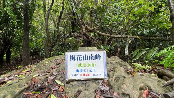 大縱走第4段3053233