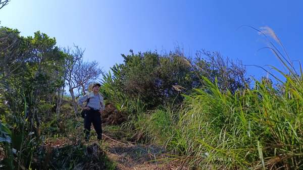 貢寮區三貂角燈塔+萊萊越嶺古道+萊萊山+萊萊三叉峰+吳家古厝+舊草嶺隧道北口+福隆車站3001138