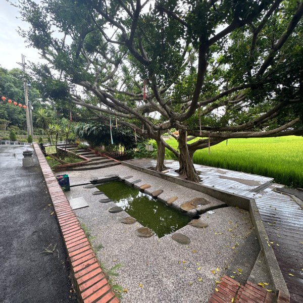 6/18、6/23桃園114年「霄裡好風光 運動樂悠遊」健行活動2831404