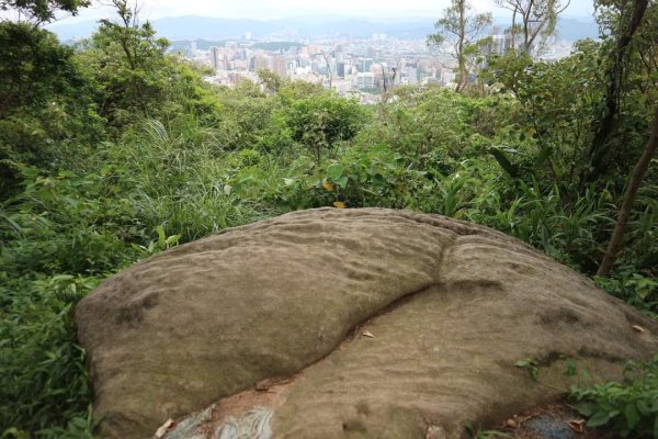 〔內湖〕文間山，劍南蝶園，劍潭古寺，婆婆橋 鄭成功廟步道2249280