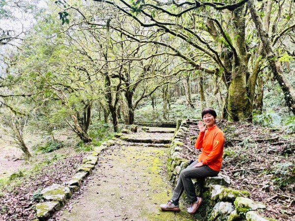 🌈228連假北橫賞櫻客製化四日遊Day2 FB：熊熊趴爬走🌈2724610