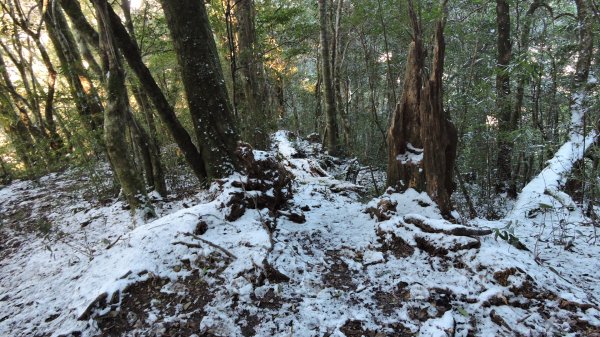 大台北第一高2130M - 塔曼山追雪1236145