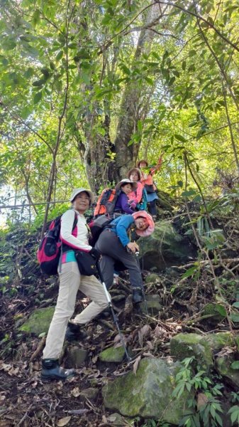 瞭望台-瓊山-望美山-獵人古道2886909