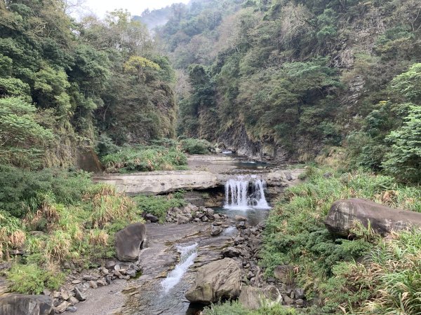 【中級山】明知山沒虎，偏向虎山行2441948