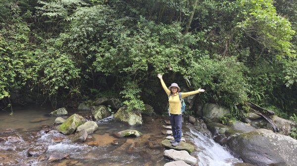 陽明山最涼爽的步道，陽明山五連瀑布，草山觀瀑吊橋，草山瀑布，大屯瀑布，小隱潭瀑布，白雲瀑布，翠峰瀑布