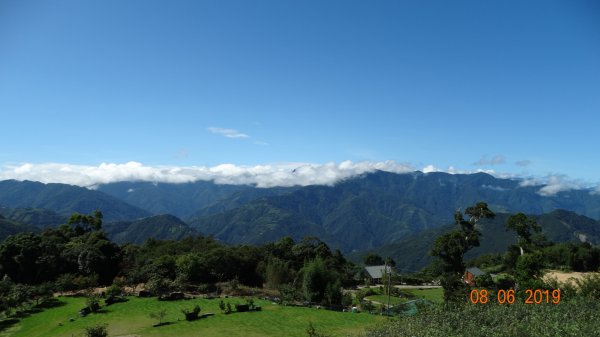 蟬鳴鳥叫蝶飛舞-復興三尖之夫婦山645498