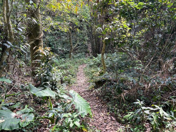 暗影山步道2753083