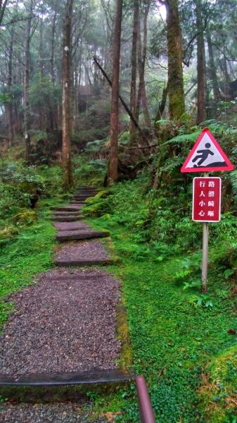 阿里山  小笠原觀景台~對高岳2444米1115188