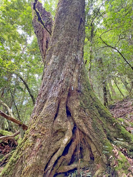 石山秀湖夢幻仙境悠遊行1013360