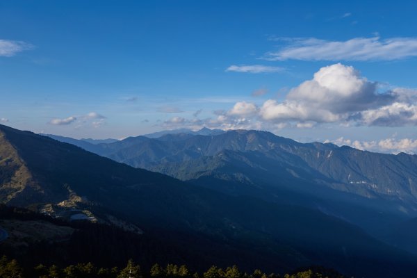 石門山金黃草原1385965