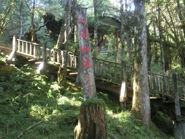 檜木原始林步道672677