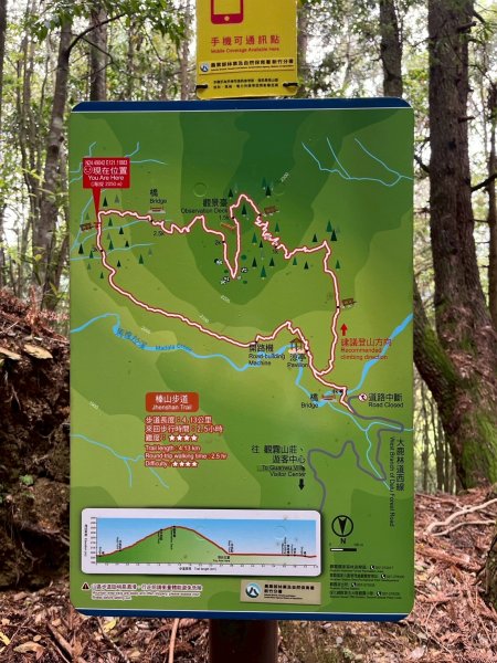 新竹 五峰 觀霧國家森林遊樂區 大鹿林道西線 榛山步道2811410