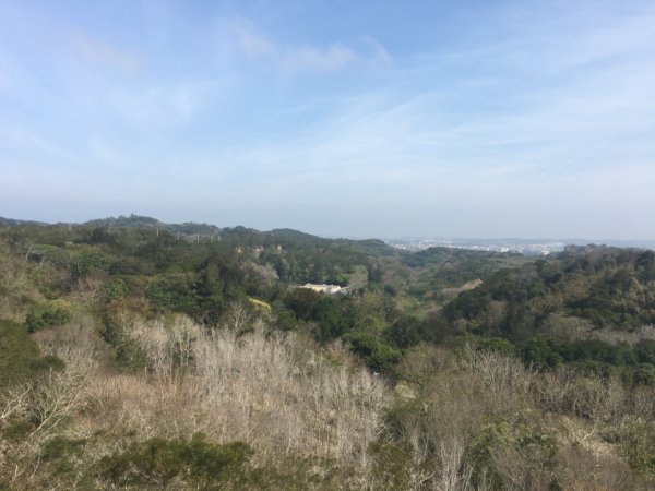 水牛城、百年土地公2036493