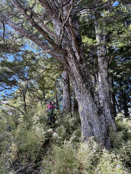 觀雲山莊經小完美谷上畢祿山O繞2917208