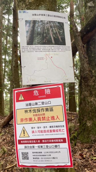 尖石🌳羅山林道野營-油羅山-竹苗小百岳3133076
