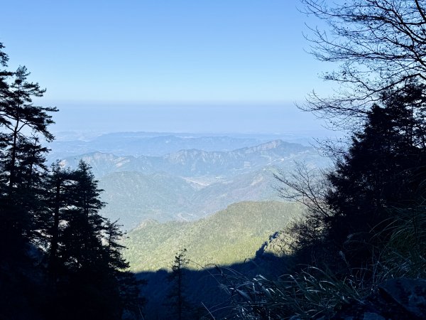 230林道糜爛去    2025.2.28-3.12733783