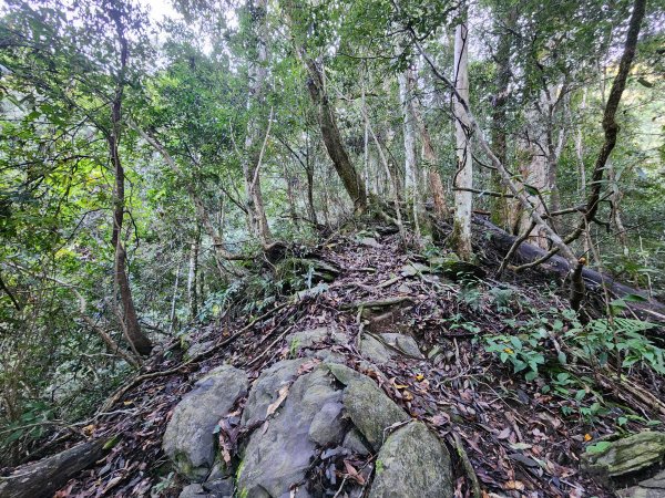 20241124布奴加里山2679115