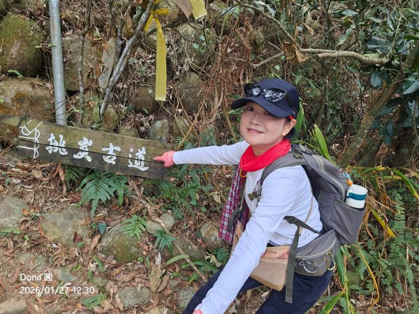 20260127三通嶺山.三義山(大桁茂山).慈濟山.大坪山大O走2989948