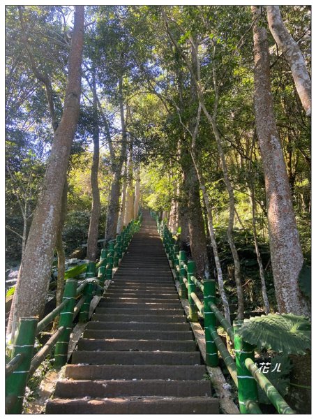 鳳凰谷鳥園步道2695877