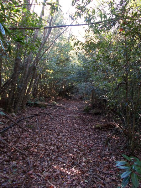 鎮子堡山,西納基山,吉納基山,養老山740943