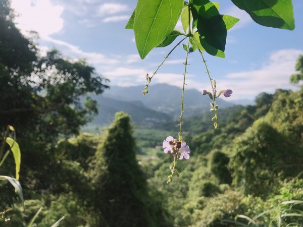 ~ 和美山步道 ~1085313