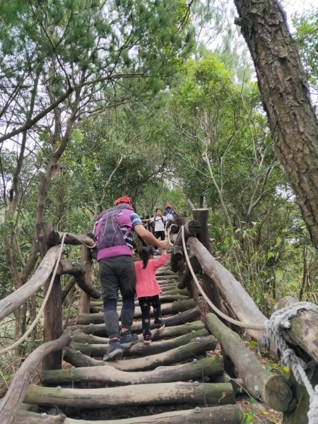 小百岳(41)-頭嵙山(四號步道)-20200209~【2020全家總動員~28分之06】1716144