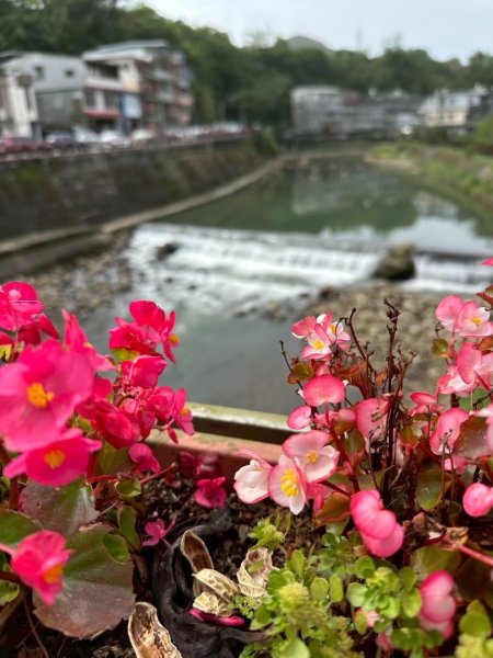 嶺頭觀日步道，西九分坑山O走2809630