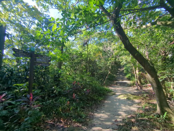 2026.01.25－微笑山線：【天上山系】烘爐地土地公段2994583