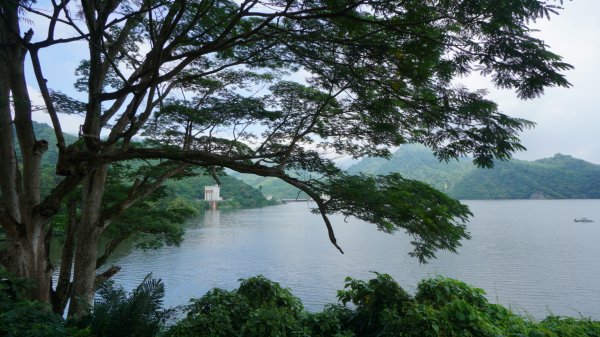 難得滿水位的曾文水庫+海上大埔湖濱公園2305123