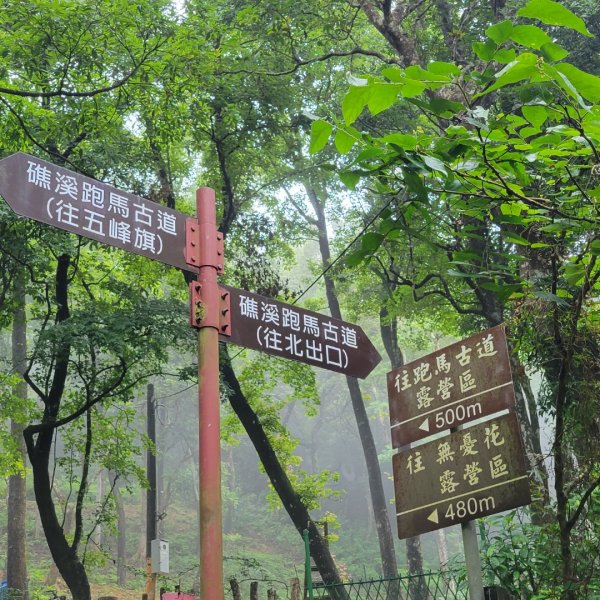 礁溪跑馬古道2518996