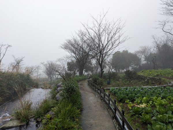 2023-12-23 臺北大縱走第二段2793129