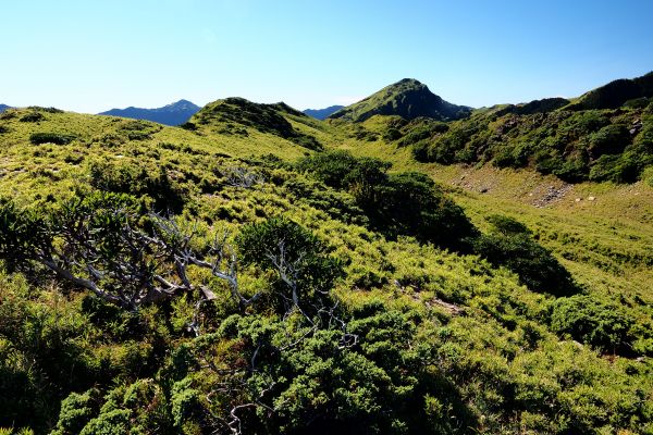 石門山北峰秋日189505