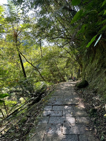 外按古道走烏塗溪步道再走四分子古道2327667