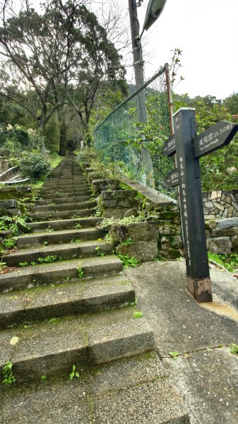 20260125 陽明山前後山健行(無極天元宮~山仔頂步道.向天池.向天山.面天山.二子坪)2997938