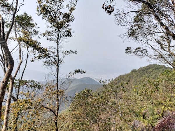 關刀山-關刀山西峰-西關刀山北峰 2021.4.31344310